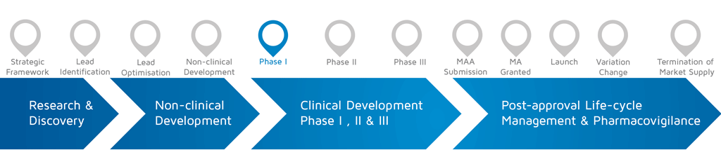 A visual representation of in which phase of medicines research and development process an activity takes place. With Phase I highlighted.
