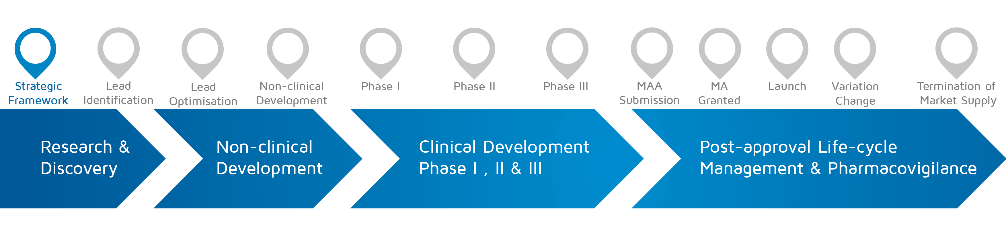 A visual representation of in which phase of medicines research and development process an activity takes place with strategic framework highlighted.