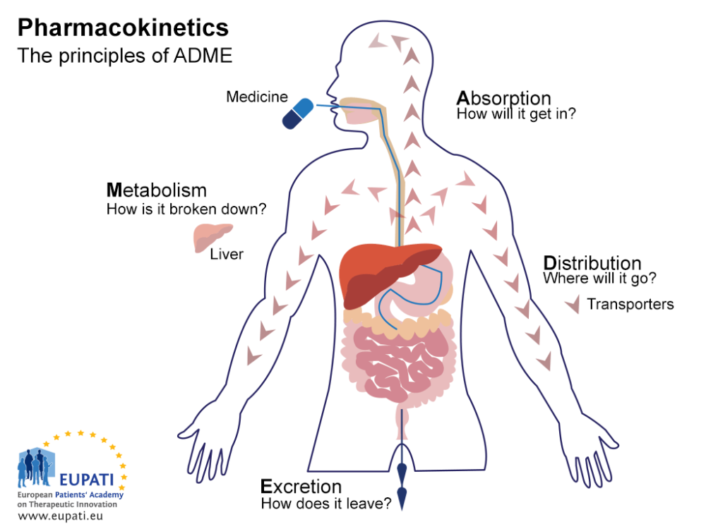 Pharmacokinetics Eupati Toolbox