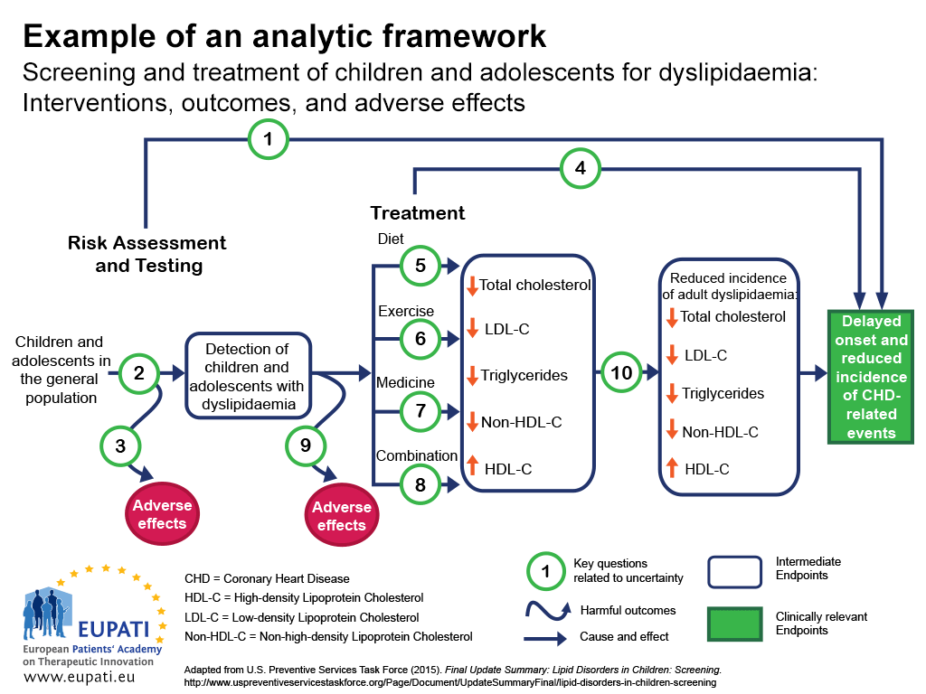 The example analytic framework shows, in the form of a flow chart, the interventions, outcomes, and adverse effects of screening and treatment of children and adolescents with dyslipidaemia. Ten key questions relating to uncertainty are marked at relevant points of the diagram.
