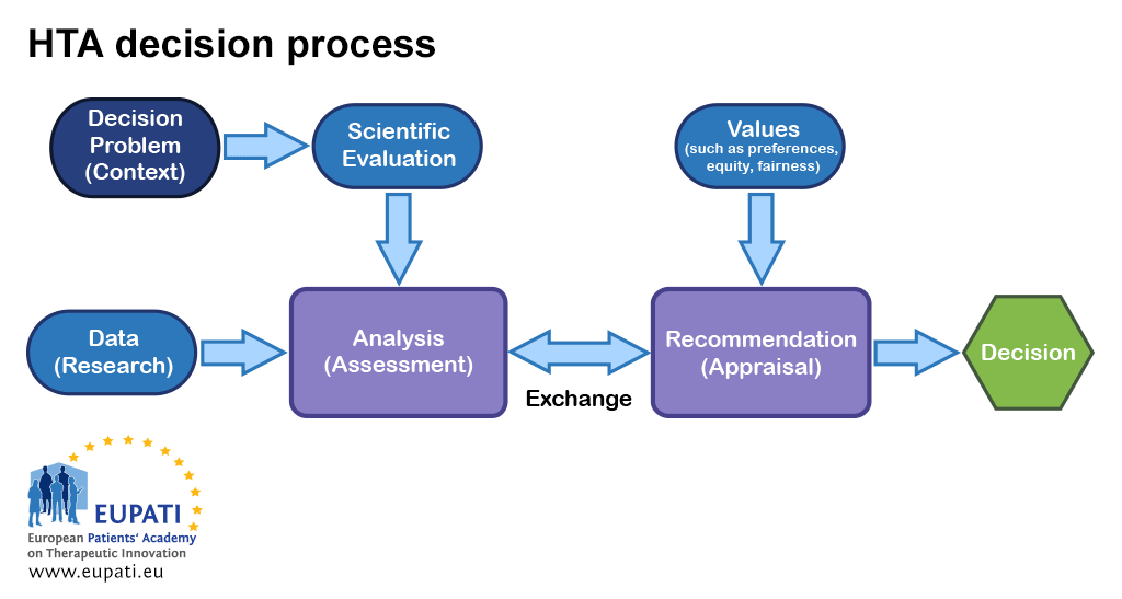 An image with a flow chart showing the HTA decision process.