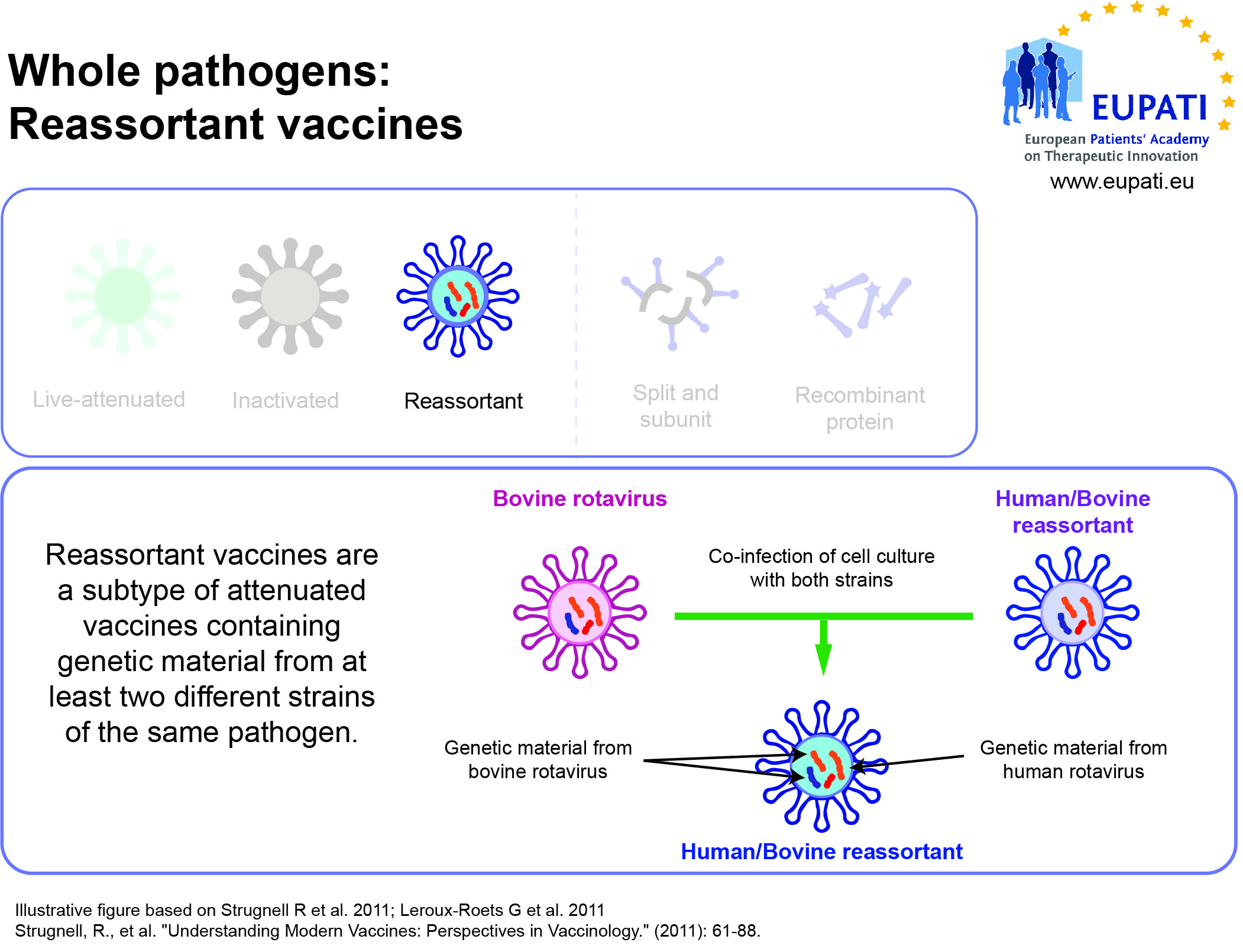 Types of Vaccines - EUPATI Toolbox