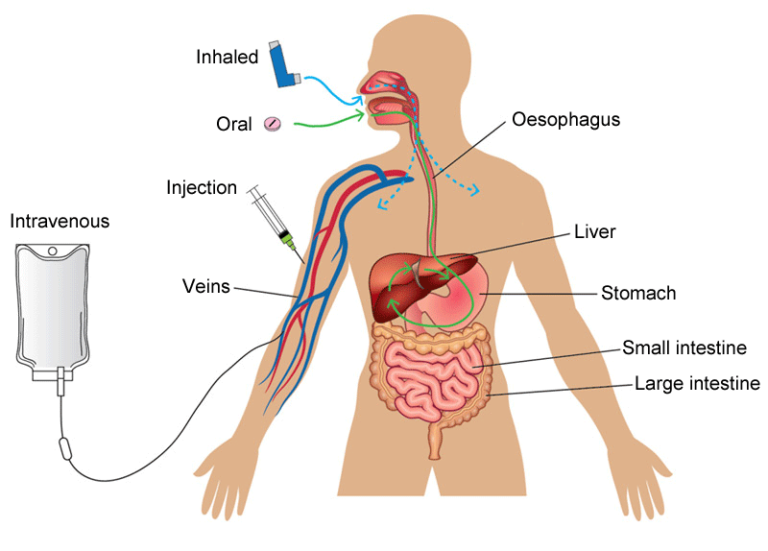 introduction-to-medicines-eupati-toolbox