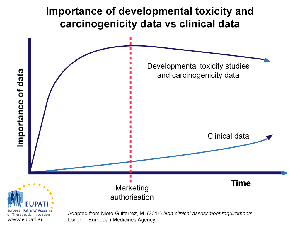 A graphical illustration of the importance of and reliance on data from non-clinical developmental toxicity and genotoxicity studies for the assessment of human safety relative to that gathered in clinical trials over time. Time is marked on the X-axis; importance to human safety assessments on the Y-axis. The time of marketing authorisation is marked approximately half-way along the X-axis. Although the importance of non-clinical developmental toxicity and carcinogenicity remains more important than clinical data throughout the developmental process and beyond the point of marketing authorisation, clinical data does begin to grow in importance gradually even as the importance of non-clinical data begins to fall off.