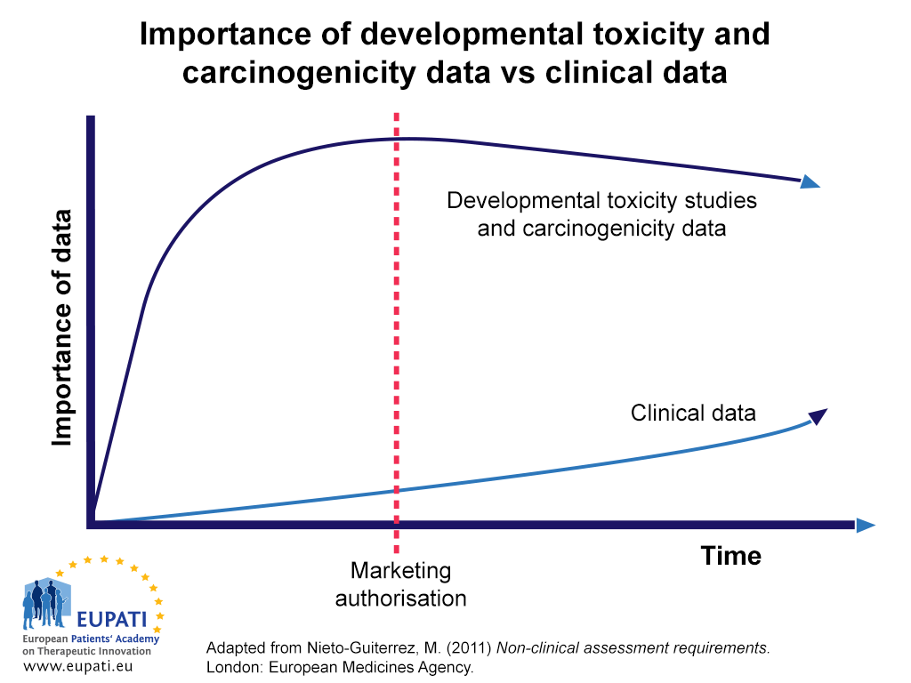 Importance of toxicity testing in drug discovery and research