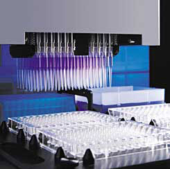 Billede af en del af "high-throughput screening"-processen. En maskine med mange pipetter og hætteglas giver mulighed for samtidig test af et stort antal potentielt nyttige molekyler.