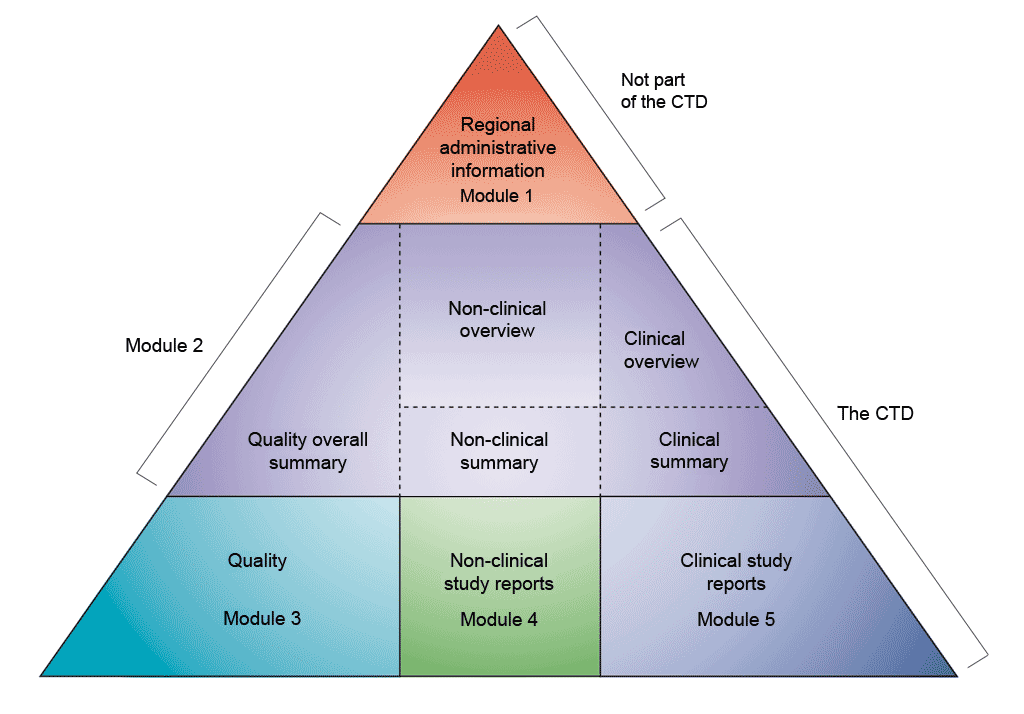 Diagrammatic representation of non-clinical development as part of the CTD modules.