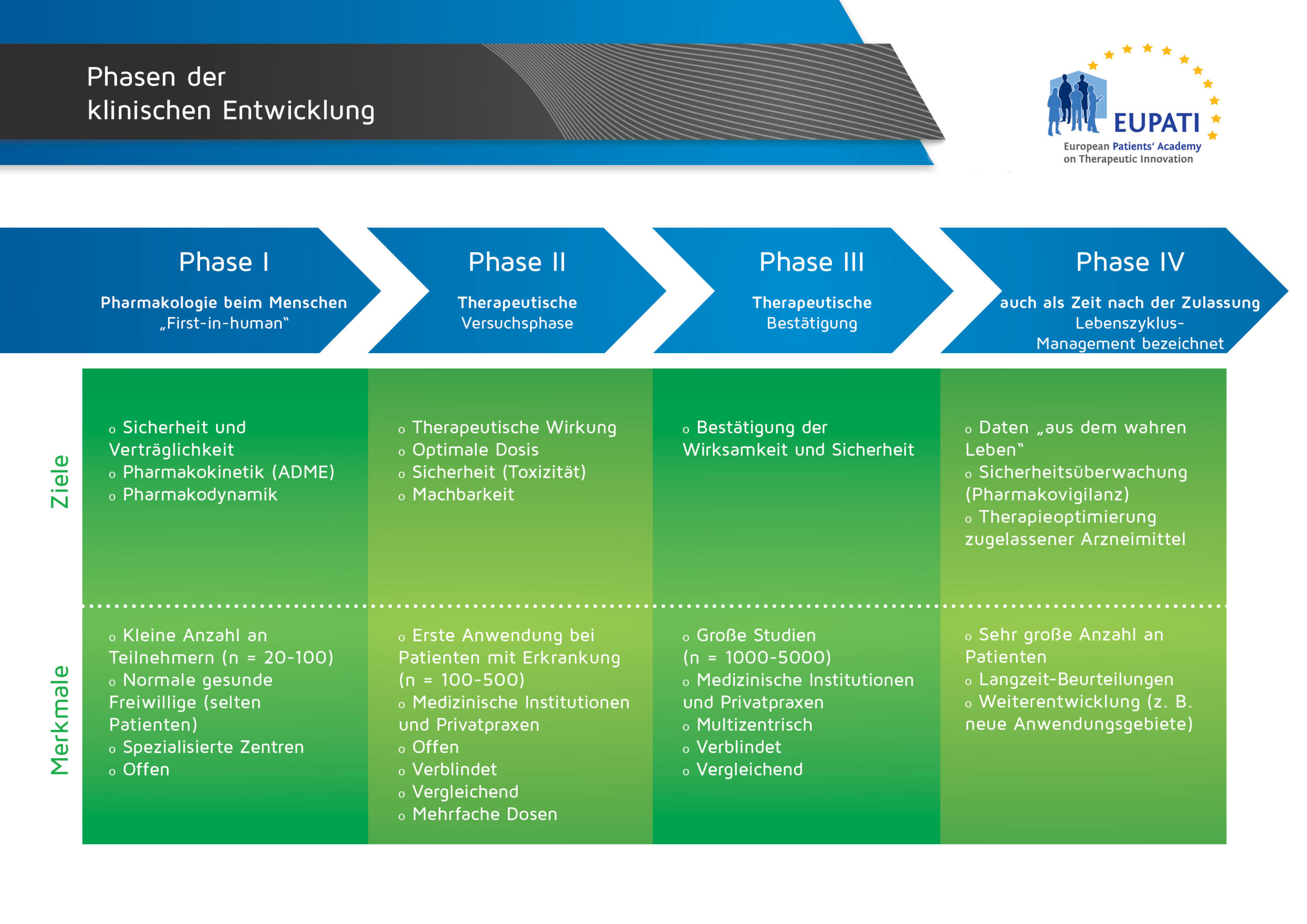 Phasen Der Klinischen Entwicklung EUPATI Toolbox