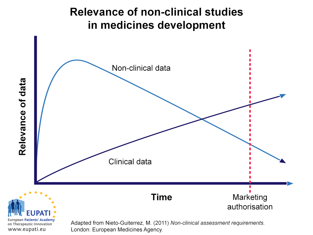A graph depicting the importance and relevance of clinical and non-clinical data in medicines development over time. Degree of relevance is indicated on the Y-axis; Time is indicated on the X-axis. Towards the beginning of the development period, the relevance of Non-clinical data rises steeply, while the relevance of clinical data increases more gradually. At some point, fairly close to the beginning of the development period, the relevance of non-clinical data peaks, and from there begins a gradual decline as the relevance of clinical data continues to gradually rise. At a given point, sometime before Marketing Authorisation (which is an event marked on the X-axis), the relevance of clinical data eclipses that of non-clinical data. This trend continues until Marketing Authorisation and beyond, with clinical data becoming more relevant as non-clinical data becomes less so.
