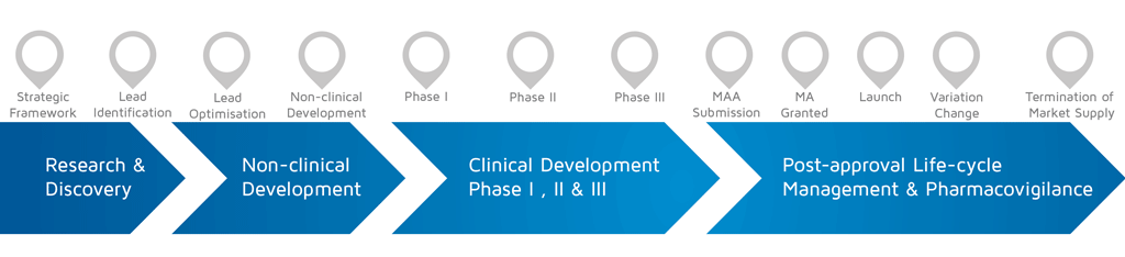 A visual representation of in which phase of medicines research and development process an activity takes place.