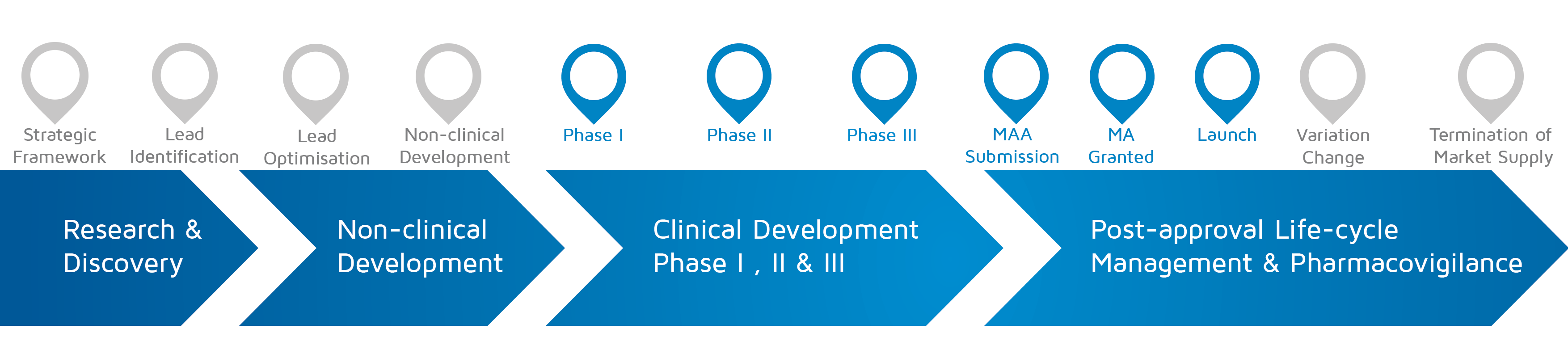 A visual representation of in which phase of medicines research and development process an activity takes place with Phase I-II-III, MAA submission, MA granted, Launch highlighted.