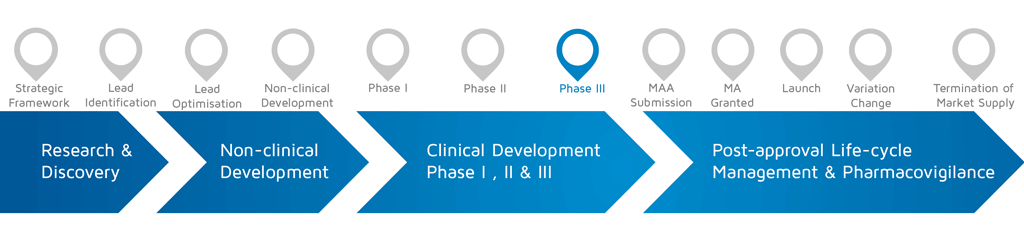 ある活動が医薬品の研究開発プロセスのどの段階で発生するかを、第 III 相を強調して示した図です。