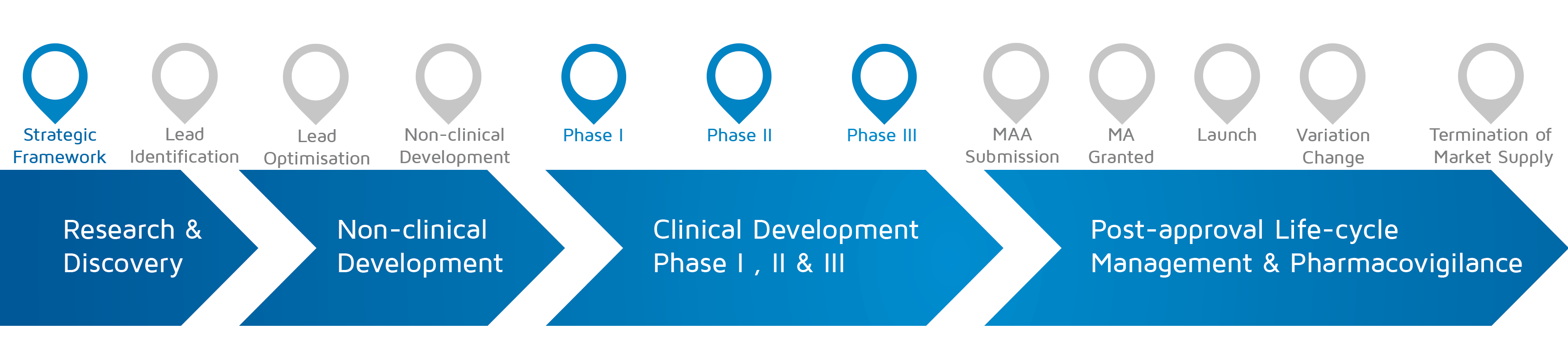 ある活動が医薬品の研究開発プロセスのどの相で発生するかについて、戦略的枠組みと第 I-II-III 相を強調して示した図です。