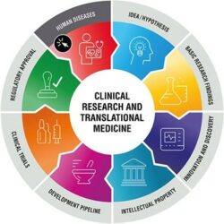 Translational Medicine - EUPATI Toolbox