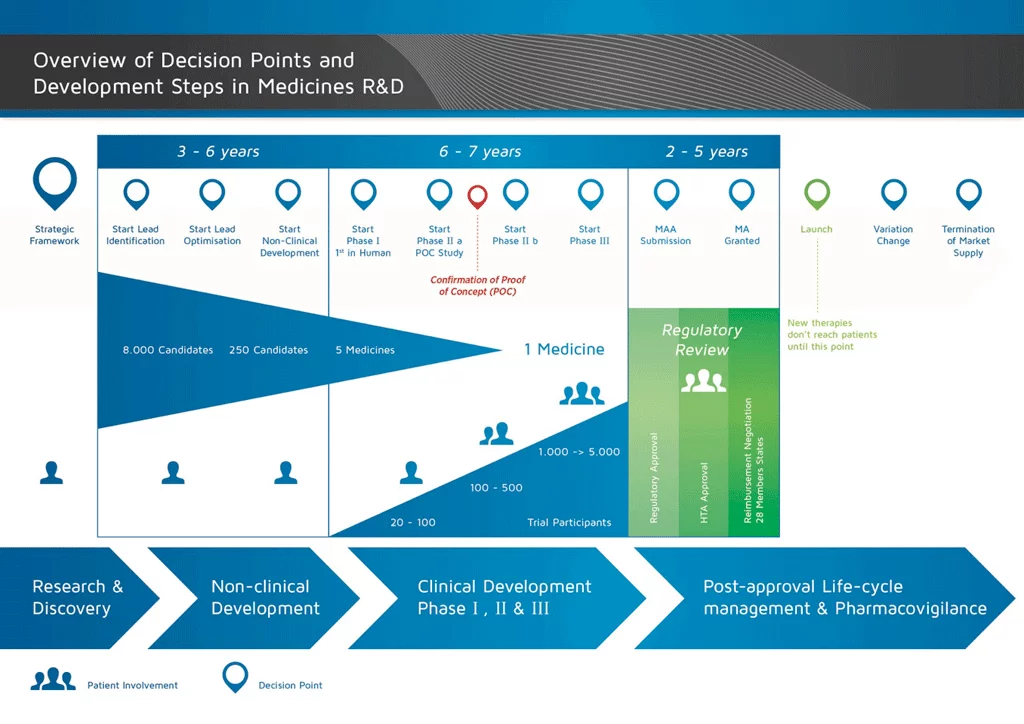 A slide describing the decision points and development steps in the research and development (R&D) of medicines. There are four main phases of medicines R&D: Research & Discovery, Non-clinical development, Clinical Development, and post-approval life-cycle management and pharmacovigilance. Reasearch and discovery lasts from three to six years, from the development of the strategic framework to lead identification, at which point the number of medicinal candidates has been narrowed from approximately 8,000 to 250. Non-clinical development also occurs within the first three to six years, from the start of lead optimisation to the end of the non-clinical development period, at which point the 250 candidates have been narrowed down to just five medicines. The next six to seven years are occupied by clinical development. Clinical development is split into three phases: I, II, and III. After the completion of Phase I, the first trials in humans (with approximately 20 to 100 participants), phase IIa begins with a proof of concept study. Phase IIa usually sees testing in 100 to 500 participants. When the Proof of Concept has been confirmed, Phase IIb begins, with clinical trials of between 1,000 and 5,000 participants, narrowing candidates down to just one medicine. Phase III is the largest of trials, and ends in the submission of the medicine for regulatory review. The regulatory review process can take between two to five years. Only after approval from the regulatory boards can the medicine be launched and new therapies made accessible to patients. The review process and launch of the medicine mark the beginning of the post-approval life-cycle management and pharmacovigilance phase, during which change is monitored and managed, and which lasts until the medicine is terminated and removed from the market.